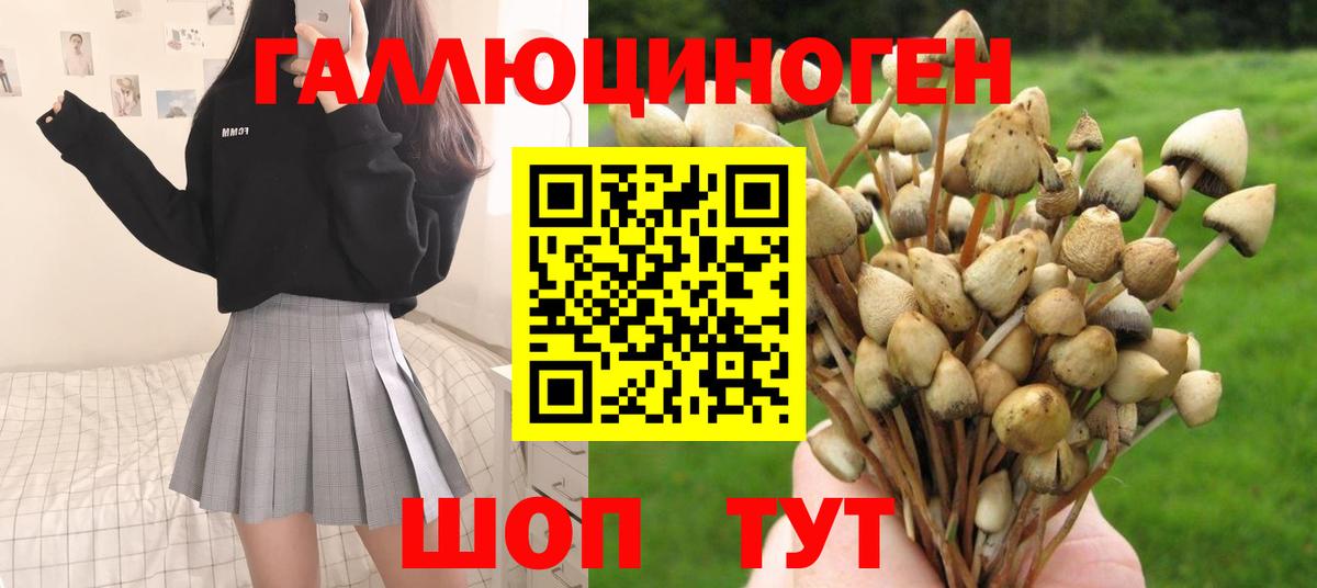 Волгодонск  Псилоцибиновые грибы MAGIC MUSHROOMS  Вход с VPN 