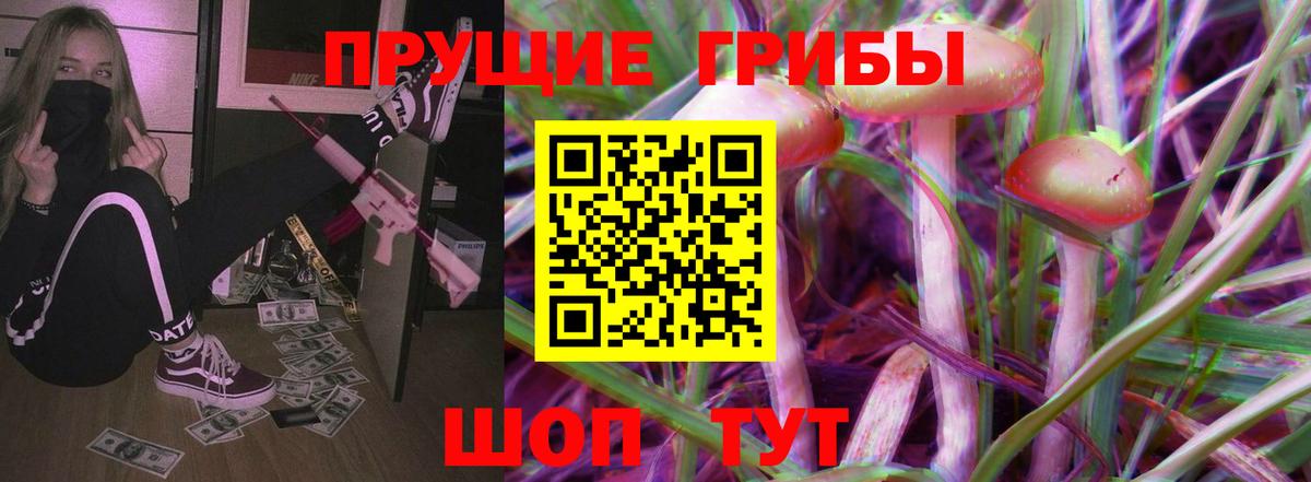 Галлюциногенные грибы Psilocybine cubensis Волгодонск